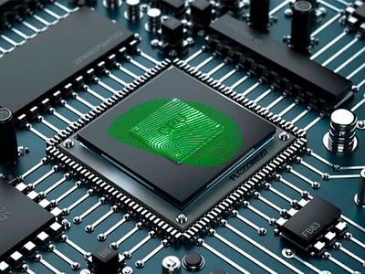 Máster privado de perito informático forense